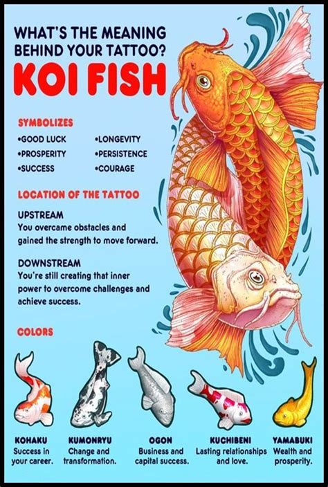 Deciphering the Symbolism Within Koi Fish Reveries