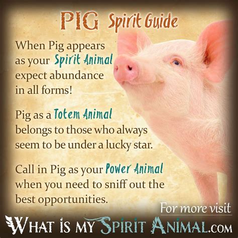 Decoding Animal Symbolism: The Importance of Piglets