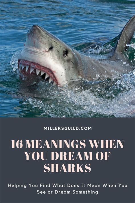 Decoding Dreams About the Demise of Sharks: Unveiling their Significance