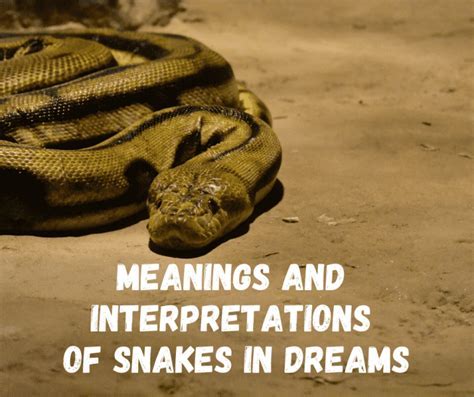 Decoding Snake Dreams: Exploring Cryptic Significance