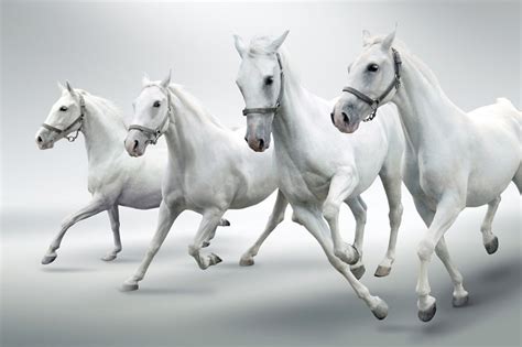 Decoding the Cultural and Mythological Significance of Ethereal Pale Stallions