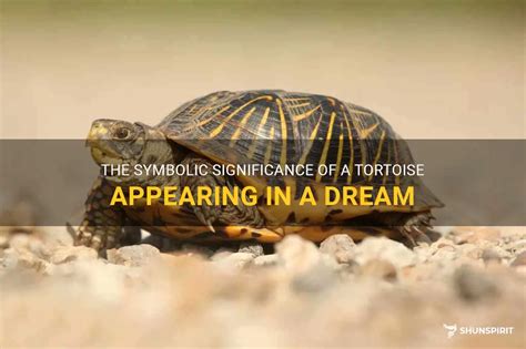 Decoding the Enigma: The Symbolic Significance of Vacant Tortoise Casings in Reveries