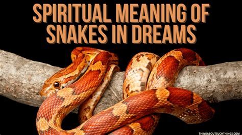 Decoding the Enigmatic Messages: Exploring the Significance of Serpents in Dreams