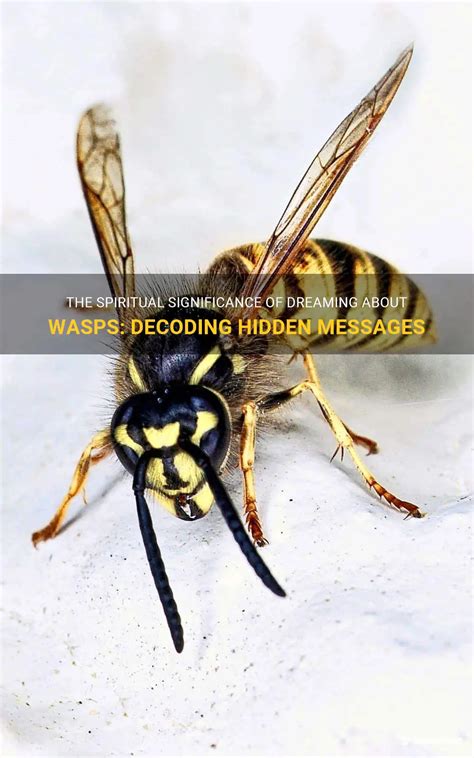 Decoding the Hidden Messages in Dreaming of a Wasp Infestation