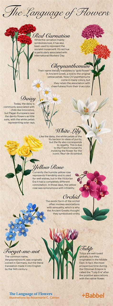 Decoding the Language of Flowers: What Can Petals and Scents Reveal?