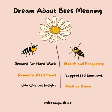 Decoding the Meaning Behind Bees Resting Upon Your Head