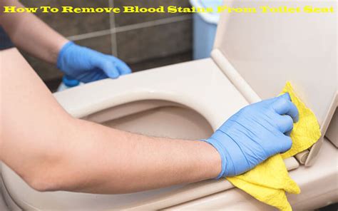 Decoding the Meaning of Bloodstains on the Toilet Seat