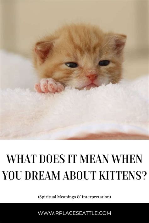 Decoding the Messages: The Hidden Meaning Behind Dreaming of Kittens