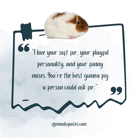 Decoding the Messages Conveyed by Tiny Guinea Pig Offspring in Dreams