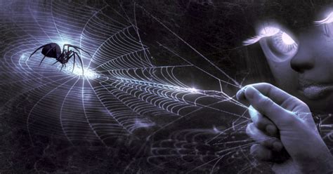 Decoding the Messages of Dreams featuring Spiders and Webs