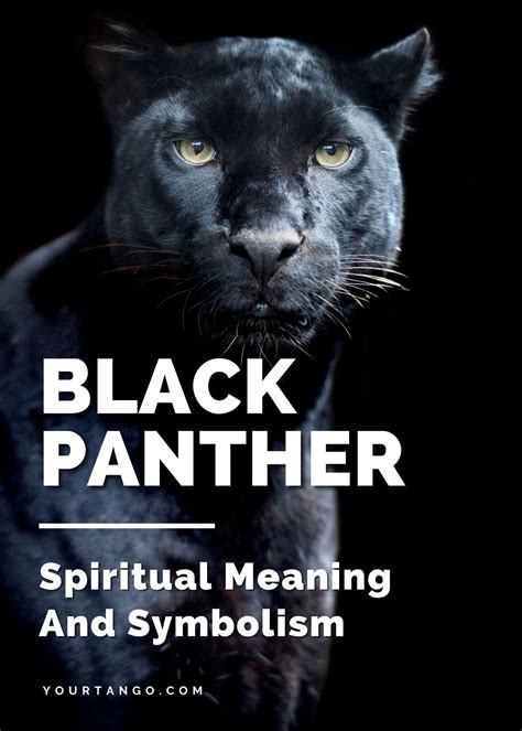 Decoding the Mystical Significance of the Panther