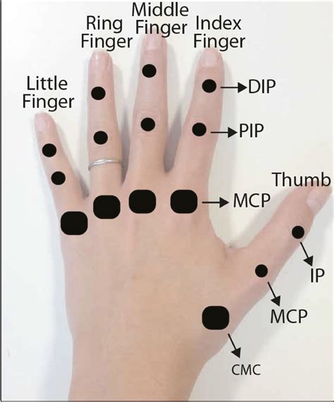 Decoding the Pointing Finger