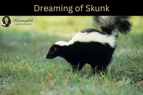 Decoding the Presence of Skunks in Dreamscapes