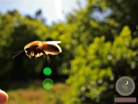 Decoding the Psychological Significance of Battling Bees in Dreams