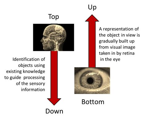 Decoding the Psychological Significance of This Mysterious Vision