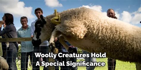 Decoding the Significance Behind Soaring Woolly Creatures: