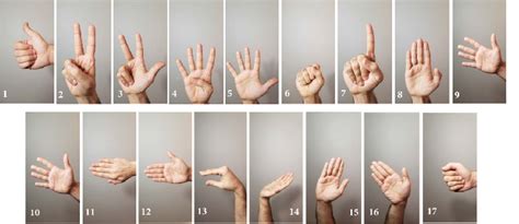 Decoding the Significance of Hand Gestures in Elusive Reveries