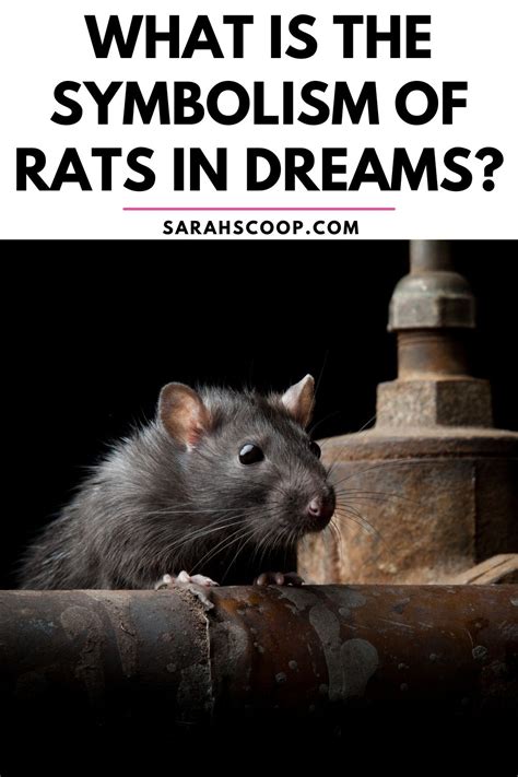 Decoding the Significance of Rats in Your Dream