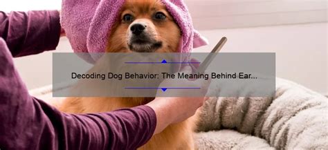 Decoding the Significance of a Passionate Canine: Meaning and Analysis