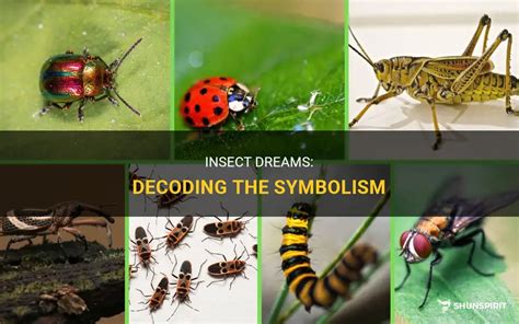 Decoding the Symbolic Meaning of Insects in the Realm of Dreams