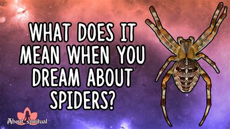 Decoding the Symbolism: Unveiling the Meaning Behind Spider Dreams