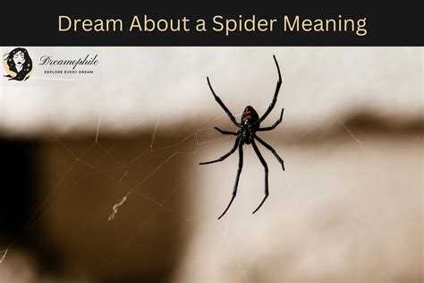 Decoding the Symbolism of Spiders of Different Colors in Dream Imagery