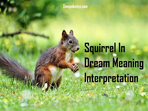 Decoding the Symbolism of Squirrels in Dreamscapes