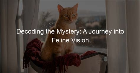 Decoding the Vision: Nurturing the Fierce Feline