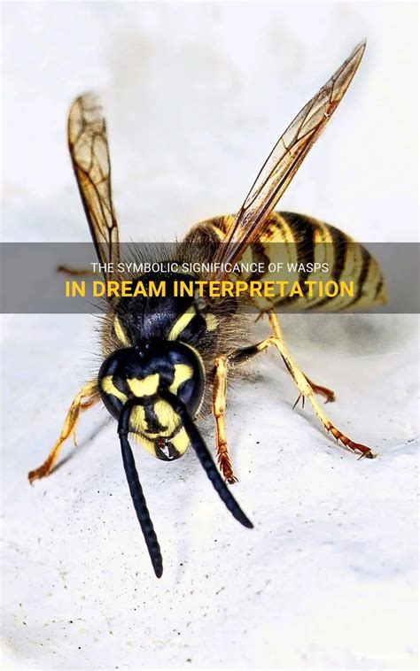 Delving into the Deep Subconscious: Significance of Wasps in Dreams