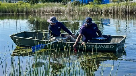 Delving into the Depths: Understanding the Significance of Groundwater