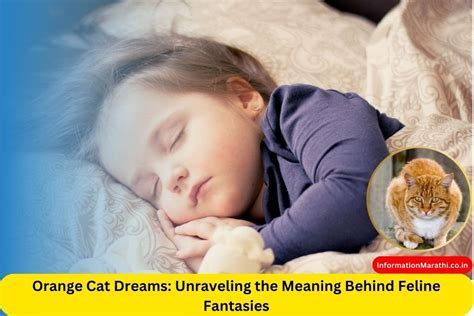 Delving into the Profound Significance of Caressing a Feline Companion