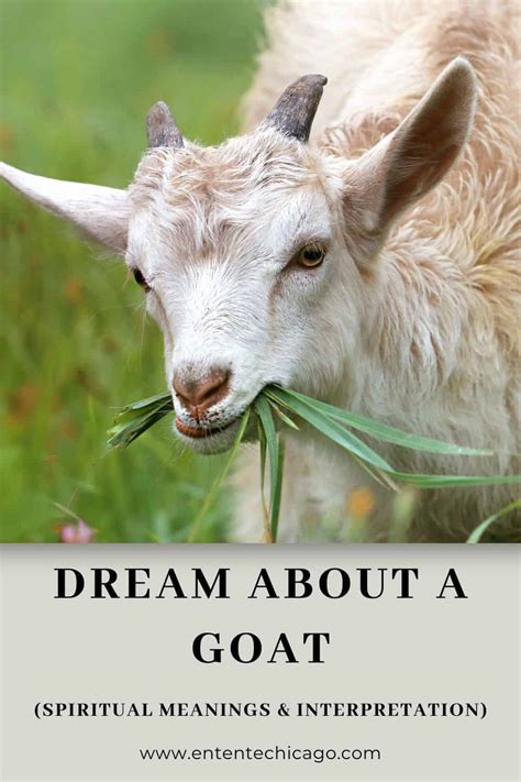 Delving into the Psychological Connections of Goat-Related Dreams