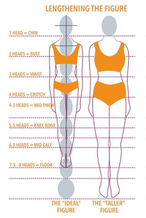 Description of her stature and bodily dimensions