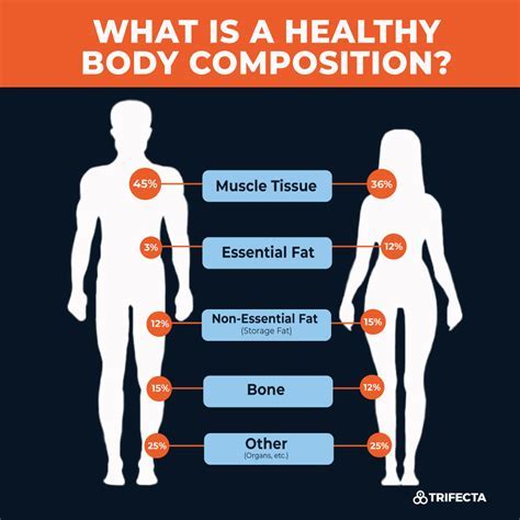 Details about Georgia's physique and body composition