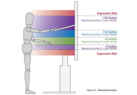 Details and Measurements of Dalila's Physique and Vertical Reach