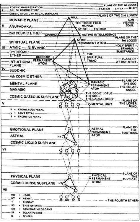 Details on Aria's Time of Existence, Verticality, and Physique