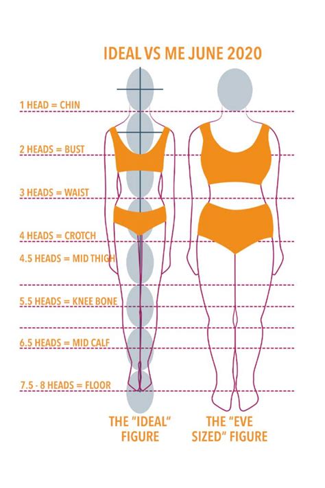 Details on Ayana's Vertical Dimensions and Physical Proportions