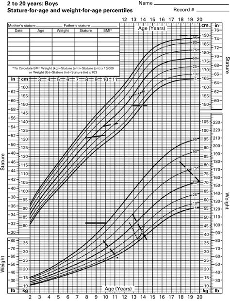 Details on the Individual's Age and Stature