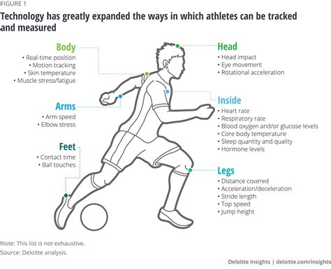 Details on the athlete's body stats