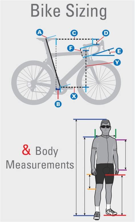 Determining Your Bicycle Requirements