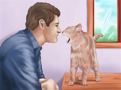 Developing Trust and Effective Communication with Your Feline Companion