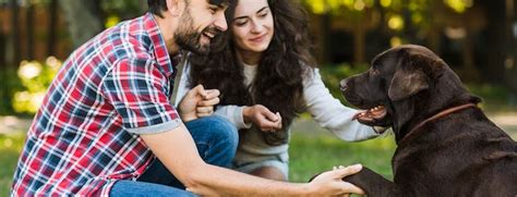 Developing a Connection with Your Canine Companion through Socialization and Training