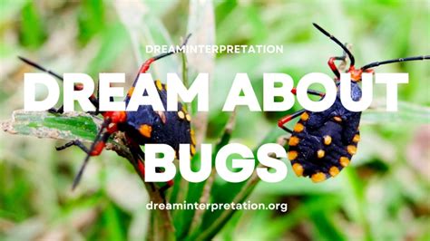 Different Species of Bugs and their Interpretations in Dreams