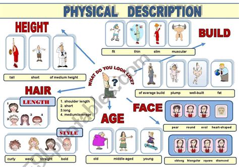 Discover more about height, physique, and appearance