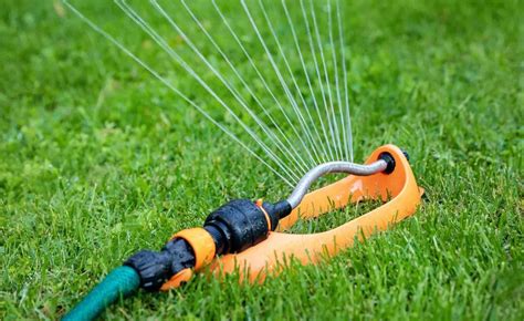 Discover the Enchantment of Water Sprinklers in Your Garden