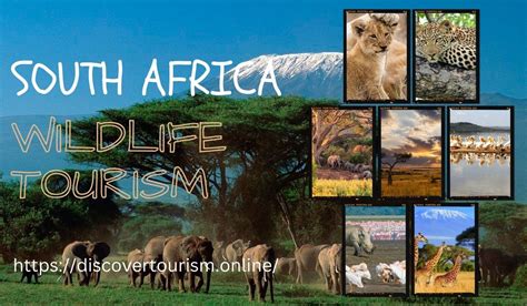 Discover the Marvels of African Wildlife