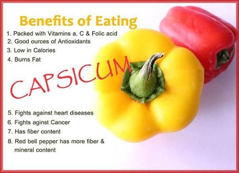 Discover the Weight Loss Benefits of Vibrant Capsicum: An Incredible Aid in Shedding Pounds