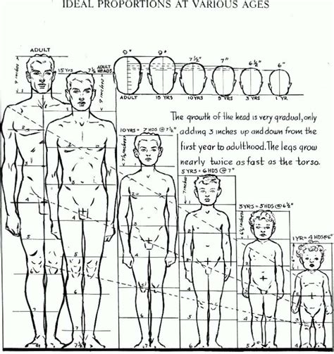 Discover the details about Brittany's number of years lived, measurement from head to toe, and physical proportions