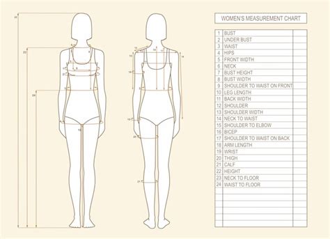 Discovering Emilianna's Body Measurements and Silhouette