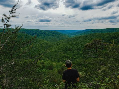 Discovering Nature's Hidden Treasures: Unveiling the Wonders of the Trail